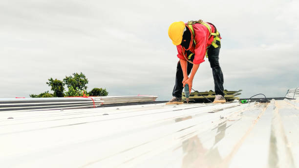 Professional Roofing Service in Perezville, TX