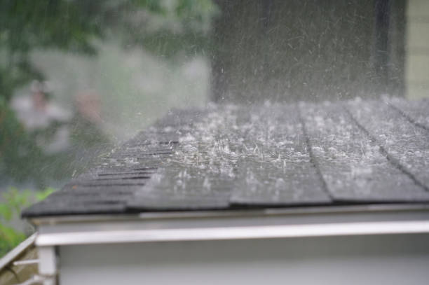 Best Roof Insulation Installation  in Perezville, TX